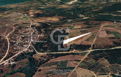 İznik Mahmudiyede Kaçırılmayacak Fırsat! 8.921 m² Satılık Arazi