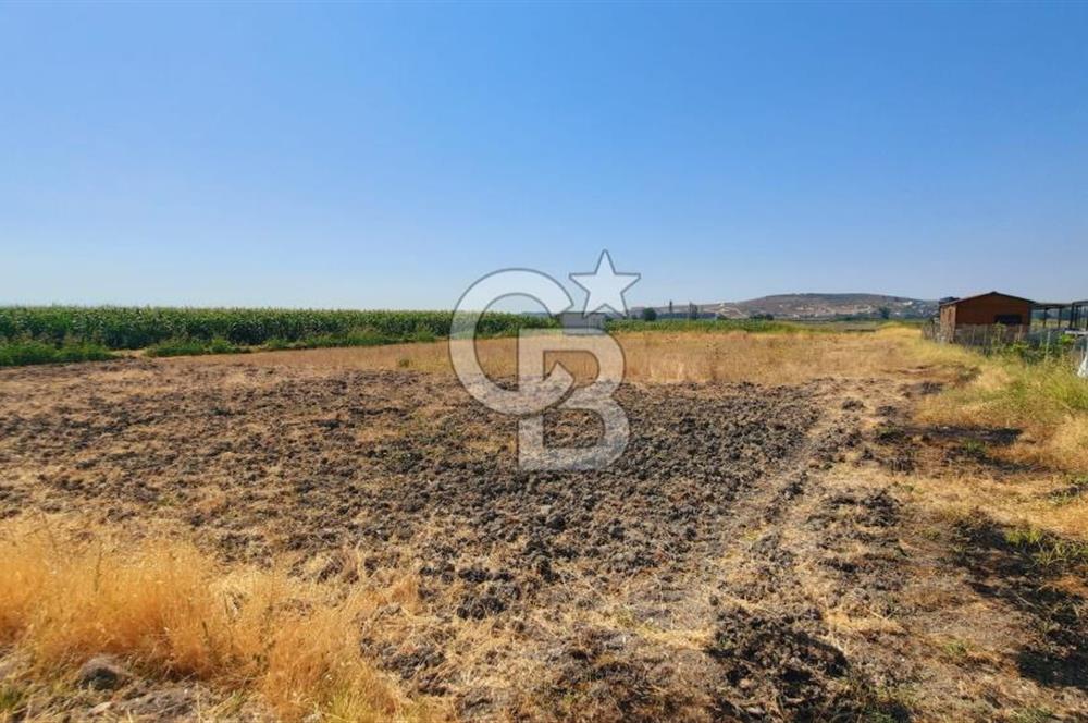 Foça Gerenköy'de Tıny House uyumlu 389 m² Tarla 