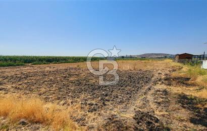 Foça Gerenköy'de Tıny House uyumlu 389 m² Tarla 