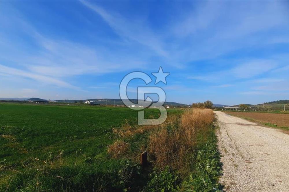 Foça Gerenköy'de Yatırımlık Tarla Fırsatı 