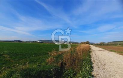 Foça Gerenköy'de Yatırımlık Tarla Fırsatı 