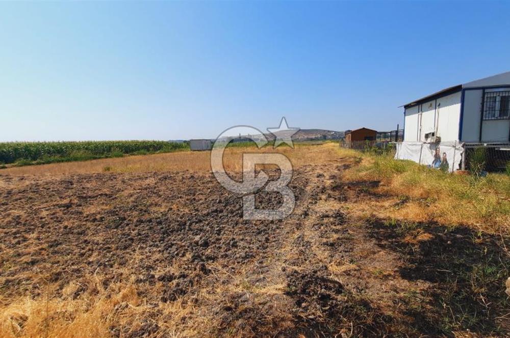 Foça Gerenköy'de Tıny House uyumlu 389 m² Tarla 