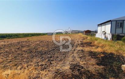 Foça Gerenköy'de Tıny House uyumlu 389 m² Tarla 