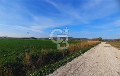 Foça Gerenköy'de Yatırımlık Tarla Fırsatı 