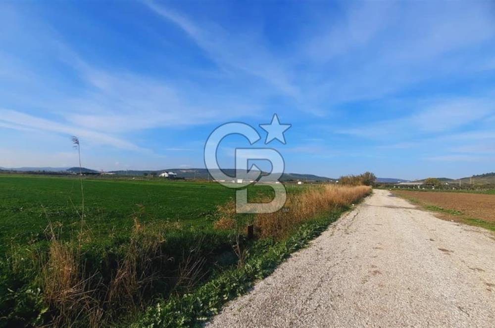 Foça Gerenköy'de Yatırımlık Tarla Fırsatı 