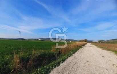 Foça Gerenköy'de Yatırımlık Tarla Fırsatı 