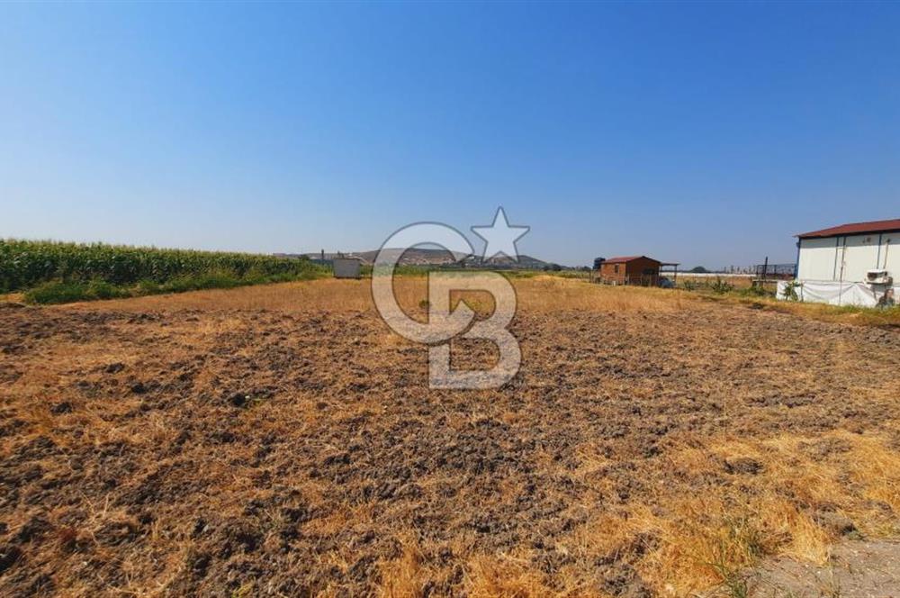 Foça Gerenköy'de Tıny House uyumlu 389 m² Tarla 