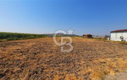 Foça Gerenköy'de Tıny House uyumlu 389 m² Tarla 