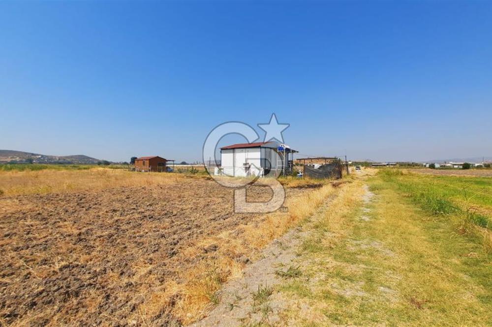 Foça Gerenköy'de Tıny House uyumlu 389 m² Tarla 