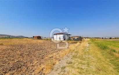 Foça Gerenköy'de Tıny House uyumlu 389 m² Tarla 