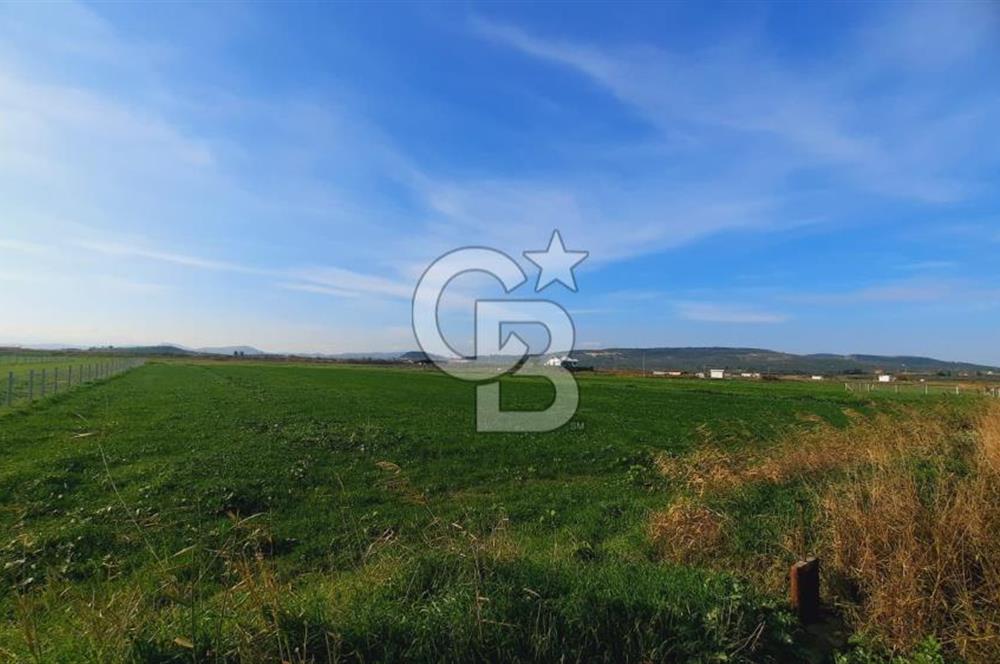 Foça Gerenköy'de Yatırımlık Tarla Fırsatı 