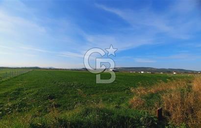 Foça Gerenköy'de Yatırımlık Tarla Fırsatı 