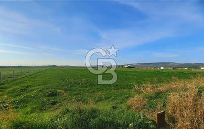 Foça Gerenköy'de Yatırımlık Tarla Fırsatı 