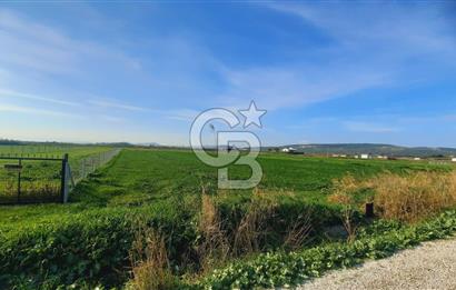 Foça Gerenköy'de Yatırımlık Tarla Fırsatı 