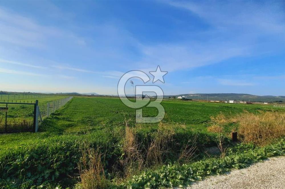 Foça Gerenköy'de Yatırımlık Tarla Fırsatı 