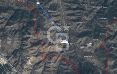 BİLECİK SÖĞÜT BORÇAK KÖYÜNDE SATILIK TARLA 