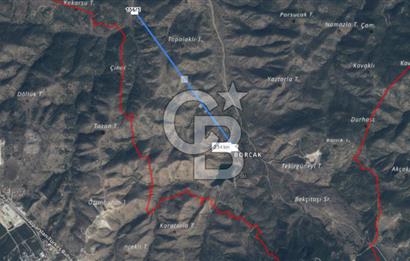 BİLECİK SÖĞÜT BORÇAK KÖYÜNDE SATILIK TARLA