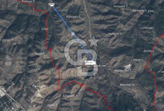 BİLECİK SÖĞÜT BORÇAK KÖYÜNDE SATILIK TARLA - 2 - 330032