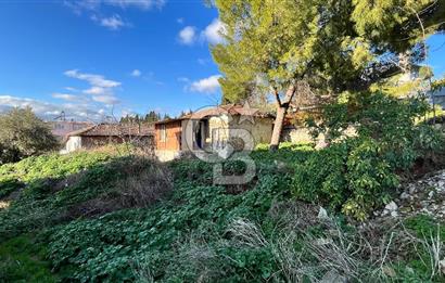 Maltepe köyü satılık avlulu ev