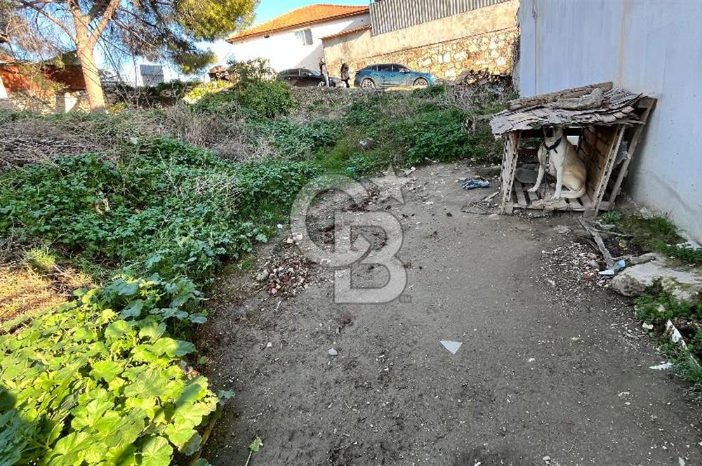 Maltepe köyü satılık avlulu ev