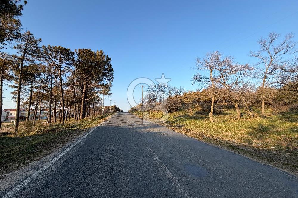 EDİRNE ENEZ ALTINKUM’DA DENİZE SIFIR 4+1 TRİPLEKS VİLLA