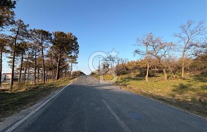 EDİRNE ENEZ ALTINKUM’DA DENİZE SIFIR 4+1 TRİPLEKS VİLLA