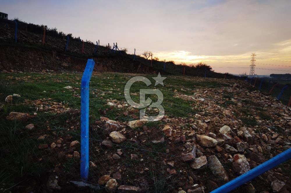 Menemen türkellide satılık tarla 