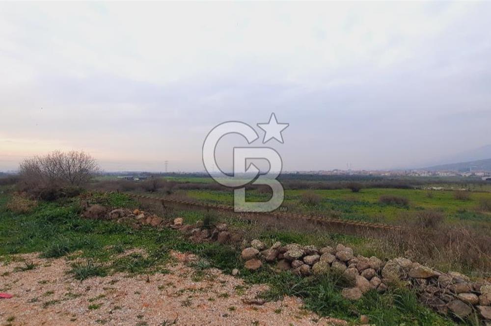 Menemen türkellide satılık tarla 