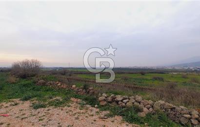 Menemen türkellide satılık tarla 