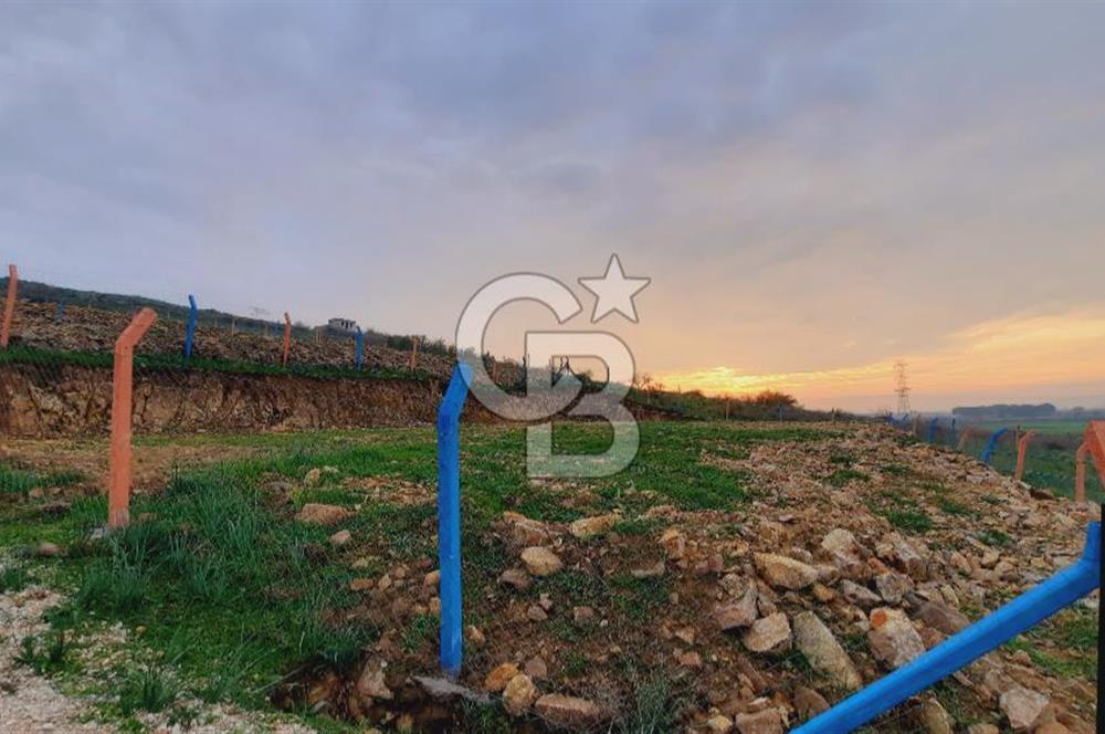 Menemen türkellide satılık tarla 