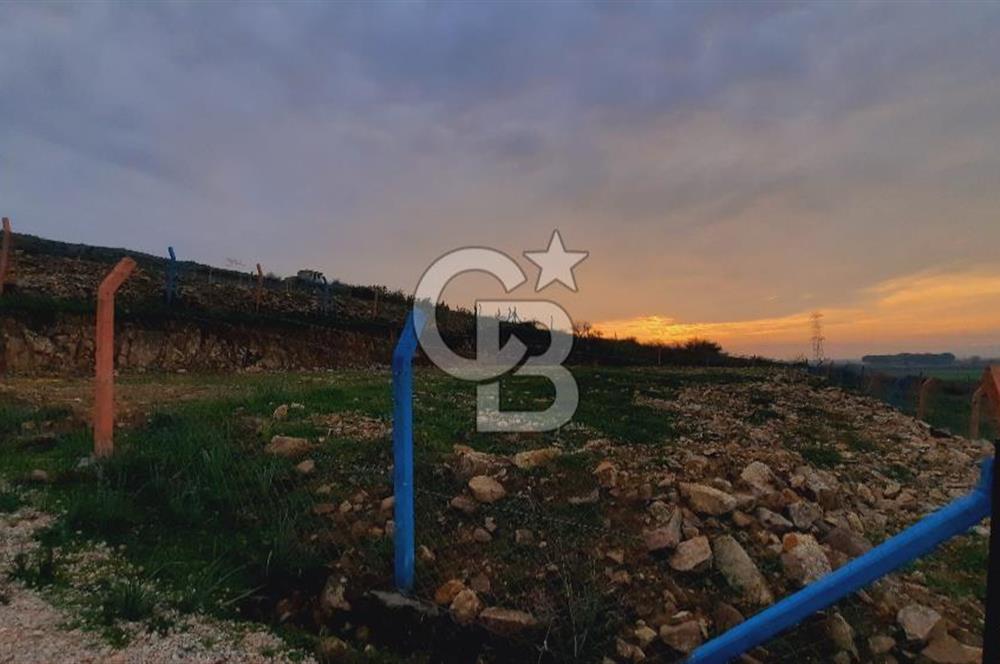 Menemen türkellide satılık tarla 