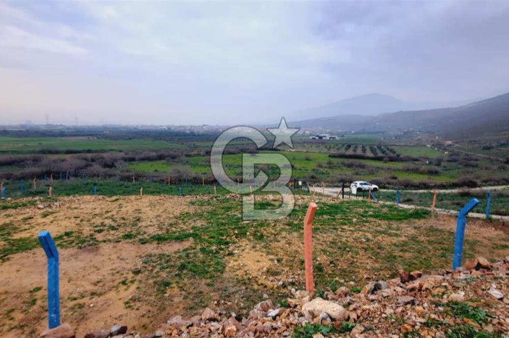 Menemen türkellide satılık tarla 