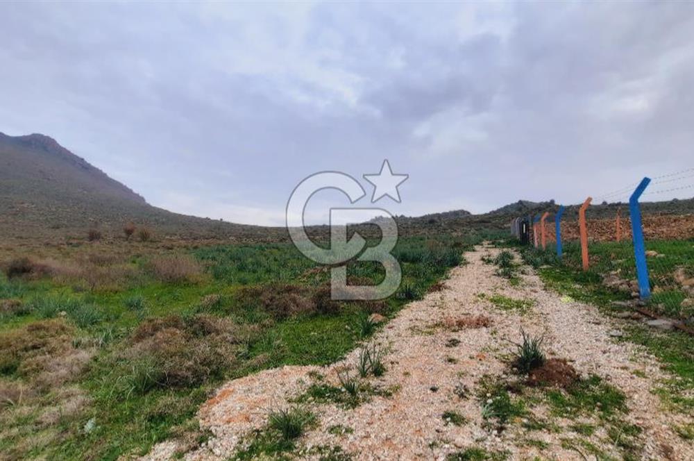 Menemen türkellide satılık tarla 