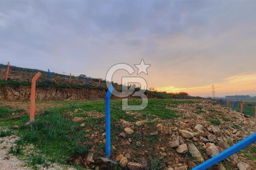 Menemen türkellide satılık tarla 