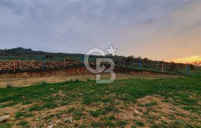 Menemen türkellide satılık tarla 