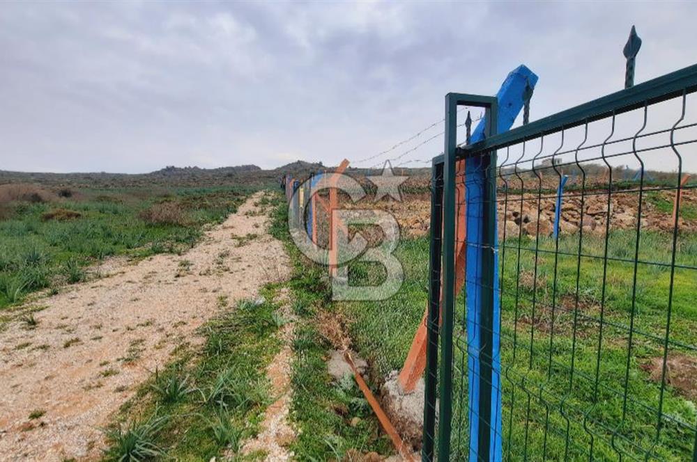 Menemen türkellide satılık tarla 