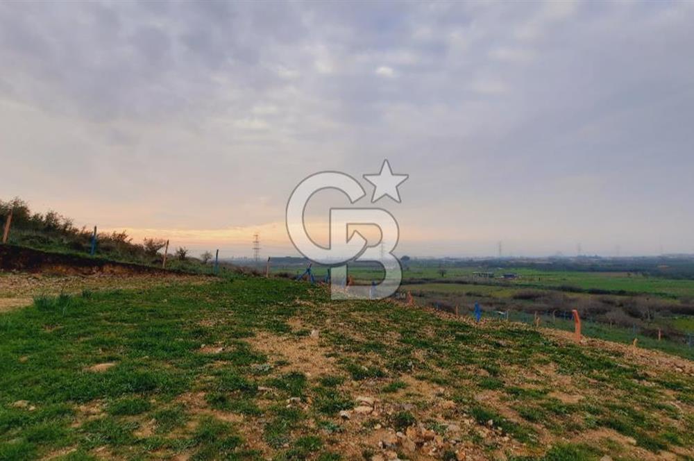 Menemen türkellide satılık tarla 