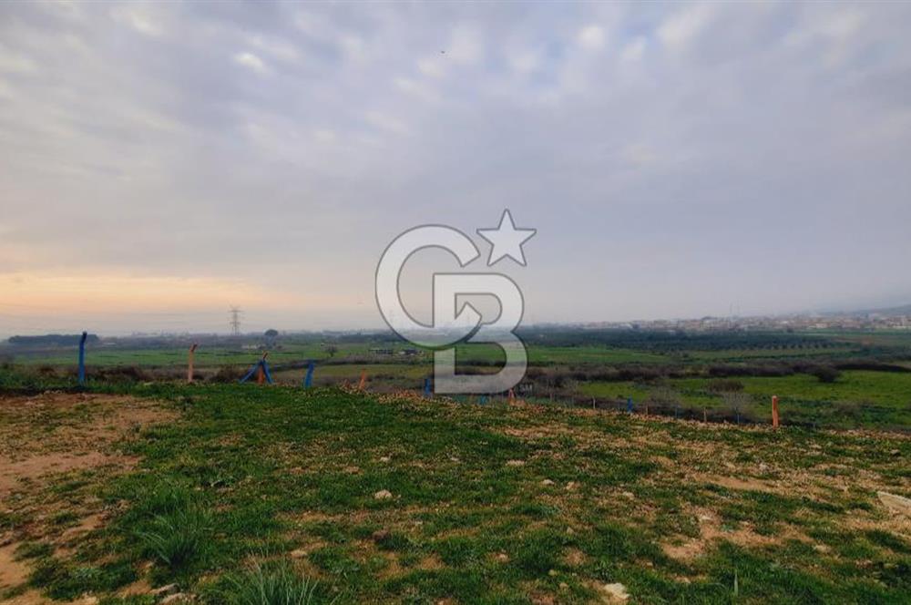 Menemen türkellide satılık tarla 