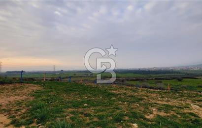 Menemen türkellide satılık tarla 