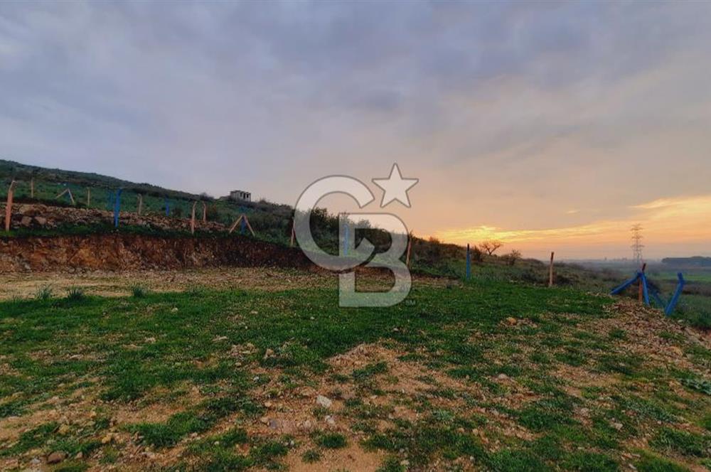 Menemen türkellide satılık tarla 