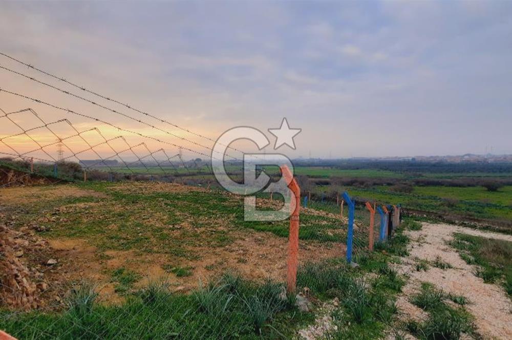 Menemen türkellide satılık tarla 