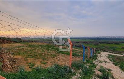 Menemen türkellide satılık tarla 