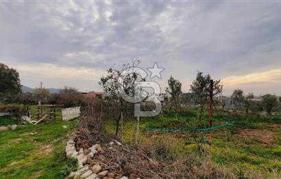 Menemen Türkellide satılık imarlı arsa
