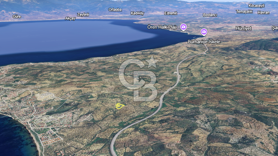 Balıkesir Burhaniye Pelitköy Satılık Zeytinlik 5913m2