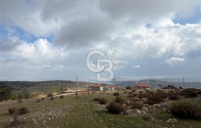 YAYLADAĞI-ŞENKÖY'DE 430 m2 *İMARLI* MÜSTAKİL SATILIK ARSA