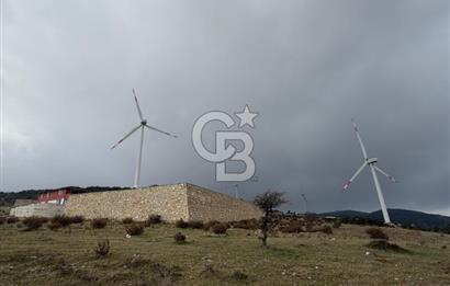 YAYLADAĞI-ŞENKÖY'DE 430 m2 *İMARLI* MÜSTAKİL SATILIK ARSA