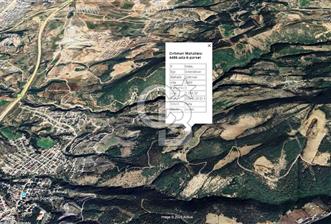 HATAY İSKENDERUN CIRTIMAN'DA SATILIK TARLA - 4 - 330057