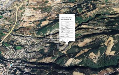 HATAY İSKENDERUN CIRTIMAN'DA SATILIK TARLA