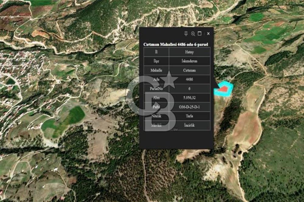 HATAY İSKENDERUN CIRTIMAN'DA SATILIK TARLA