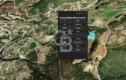 HATAY İSKENDERUN CIRTIMAN'DA SATILIK TARLA